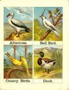 Thumbnail 0003 of Alphabet of birds