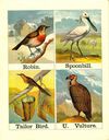 Thumbnail 0012 of Alphabet of birds