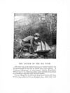 Thumbnail 0017 of Arm chair stories