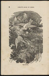 Thumbnail 0008 of The aviary, or, Child