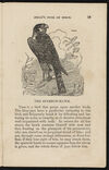 Thumbnail 0021 of The aviary, or, Child