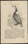 Thumbnail 0026 of The aviary, or, Child