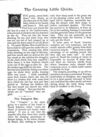 Thumbnail 0058 of Baby dear