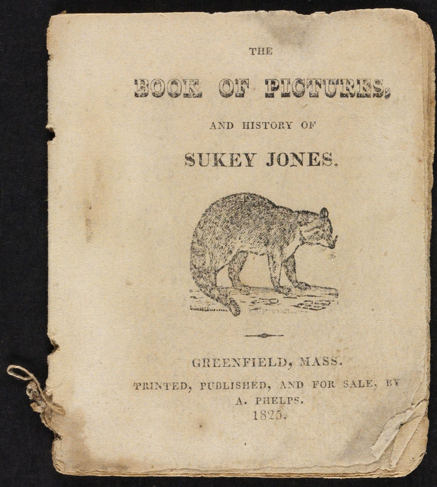 Scan 0001 of The book of pictures and history of Sukey Jones