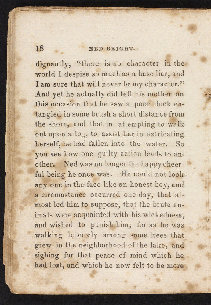 Scan 0020 of Conscience disobeyed, or, Story of Ned Bright