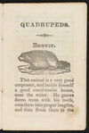 Thumbnail 0005 of A history of quadrupeds