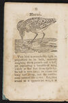 Thumbnail 0010 of A history of birds