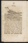 Thumbnail 0014 of A history of birds