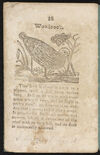 Thumbnail 0018 of A history of birds