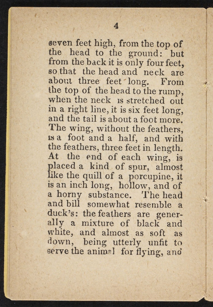 Scan 0006 of The history of birds