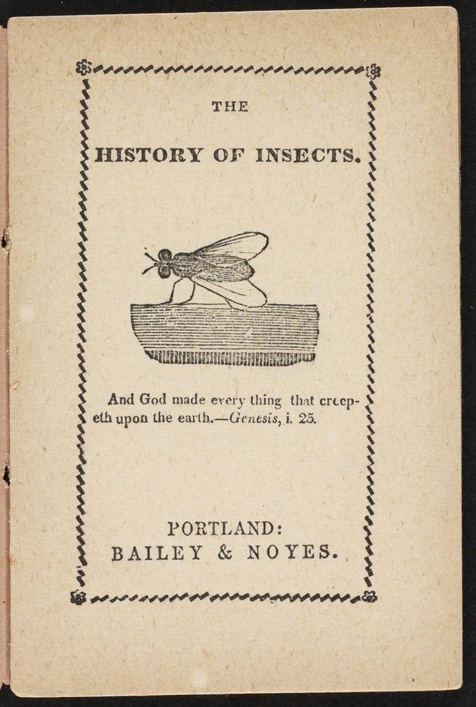 Scan 0003 of The history of insects