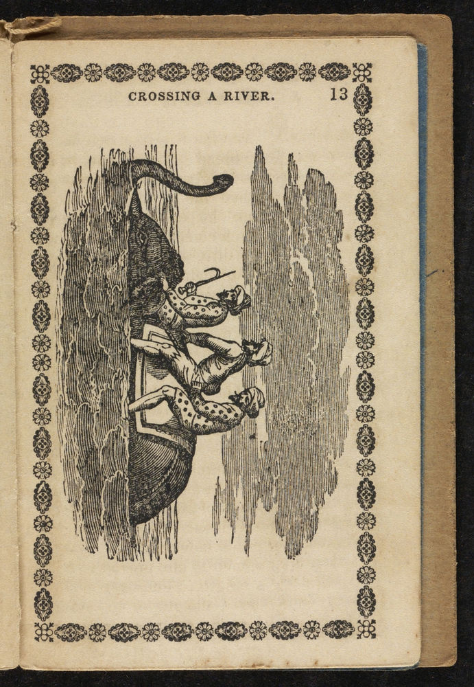 Scan 0017 of History and anecdotes of the elephant