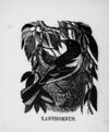 Thumbnail 0056 of The illustrated alphabet of birds