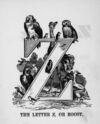 Thumbnail 0060 of The illustrated alphabet of birds