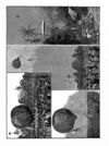 Thumbnail 0070 of Little folks