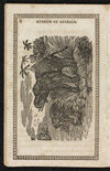 Thumbnail 0008 of Museum of foreign animals, or, History of beasts