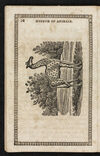Thumbnail 0012 of Museum of foreign animals, or, History of beasts