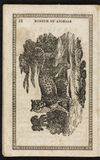 Thumbnail 0014 of Museum of foreign animals, or, History of beasts
