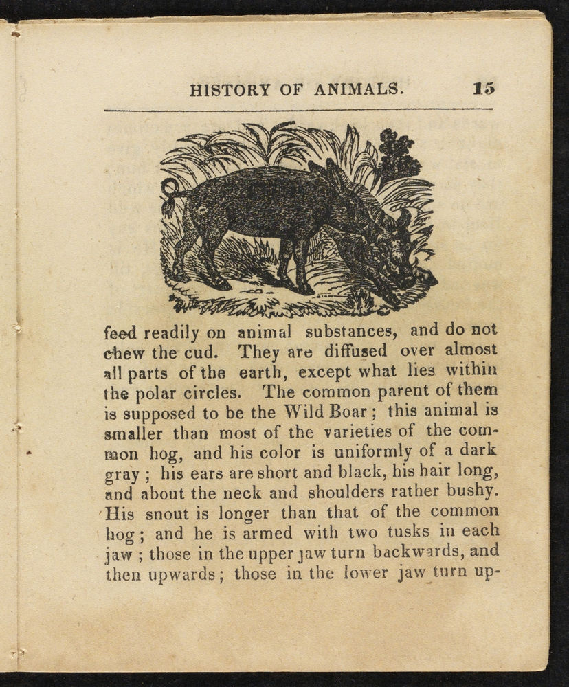 Scan 0015 of Natural history of animals