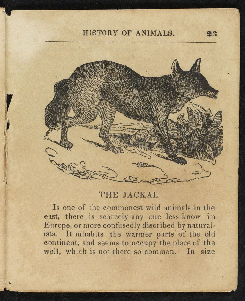 Scan 0023 of Natural history of animals