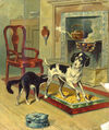 Thumbnail 0020 of Old Dame Trot and her comical cat