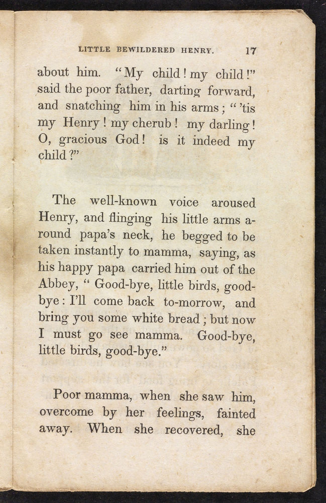 Scan 0017 of The singular and extraordinary adventures of poor little bewildered Henry, who was shut up in an old abbey for three weeks