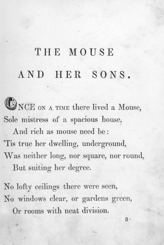 Scan 0010 of Surprising stories about the mouse and her sons, and the funny pigs