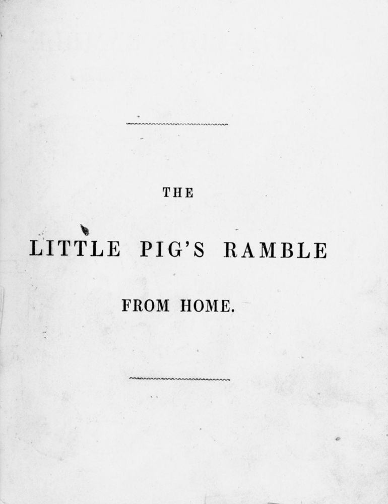 Scan 0034 of Surprising stories about the mouse and her sons, and the funny pigs