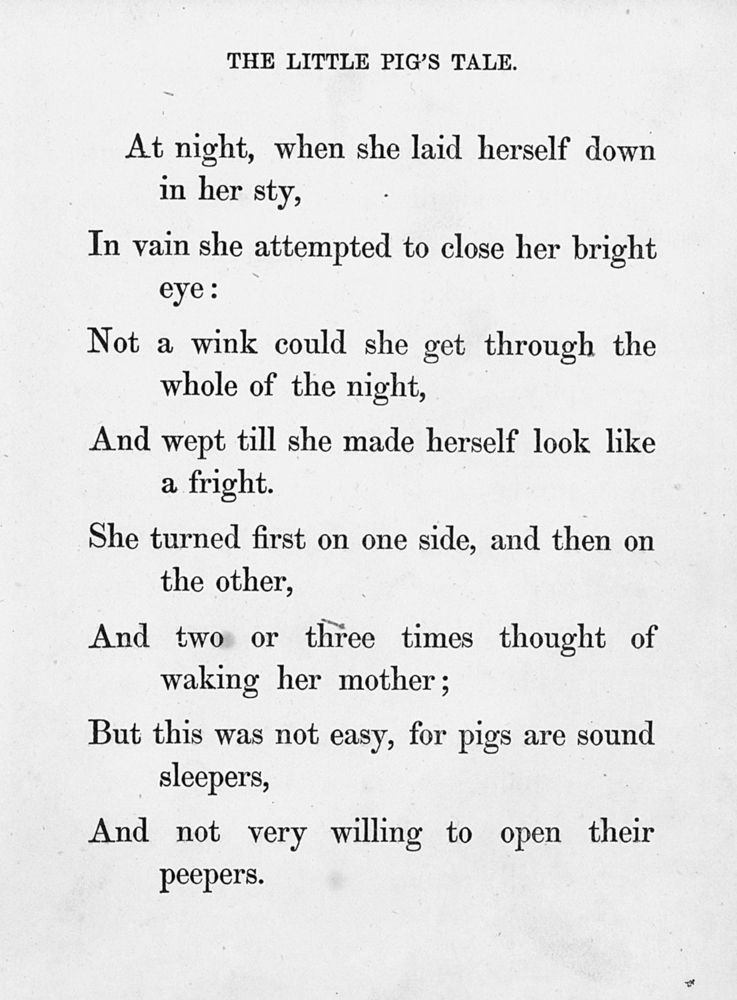 Scan 0064 of Surprising stories about the mouse and her sons, and the funny pigs