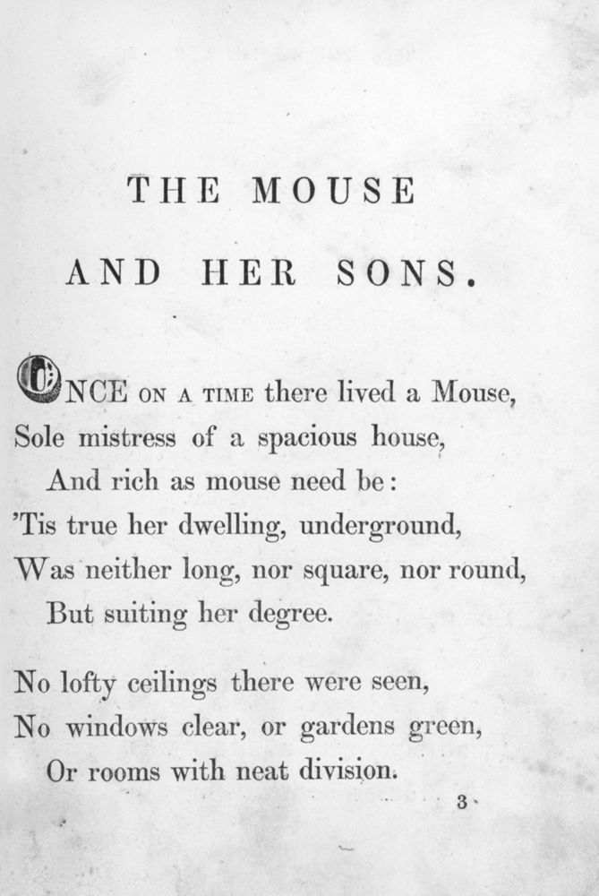 Scan 0008 of Surprising stories about the mouse and her sons, and the funny pigs