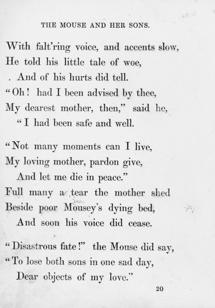 Scan 0025 of Surprising stories about the mouse and her sons, and the funny pigs