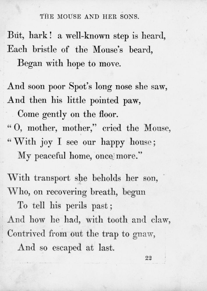 Scan 0027 of Surprising stories about the mouse and her sons, and the funny pigs