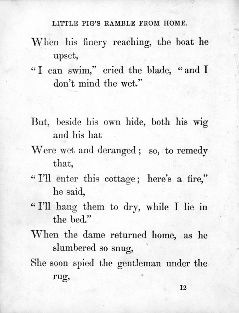 Scan 0041 of Surprising stories about the mouse and her sons, and the funny pigs