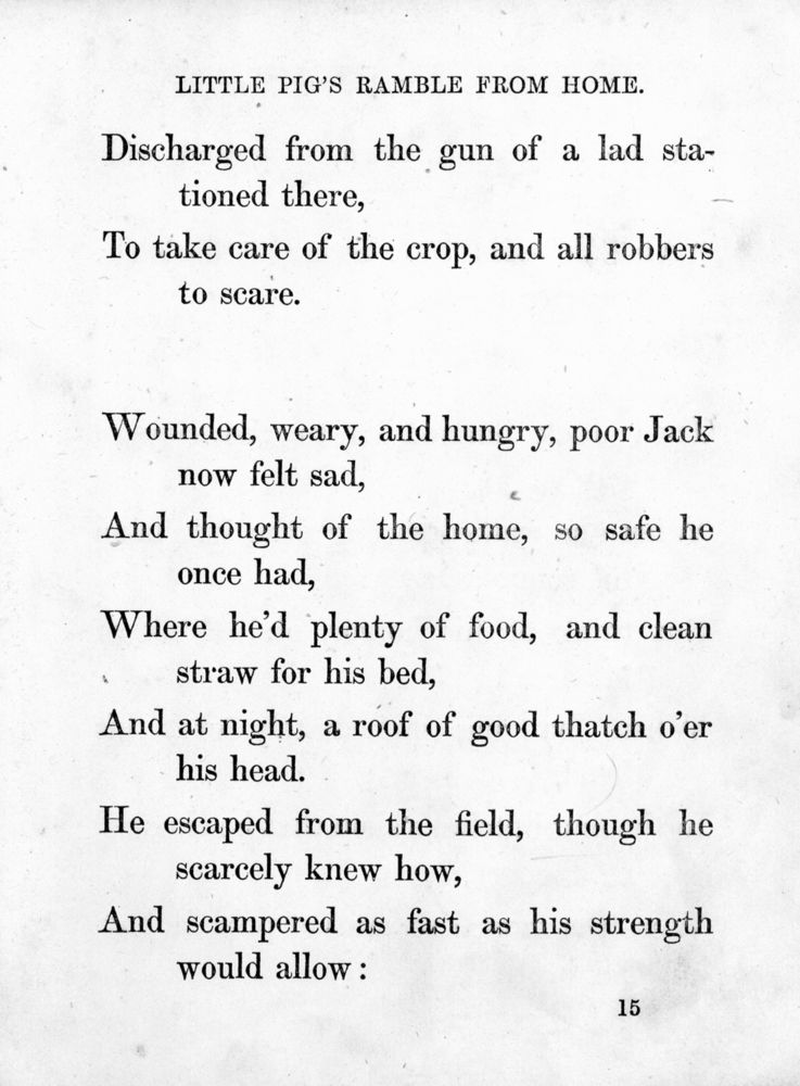 Scan 0044 of Surprising stories about the mouse and her sons, and the funny pigs