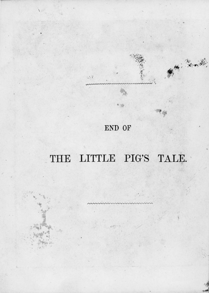 Scan 0077 of Surprising stories about the mouse and her sons, and the funny pigs