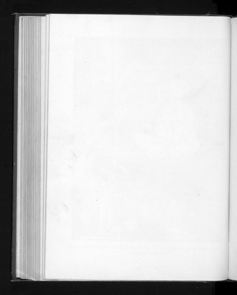 Scan 0206 of Half-past seven stories
