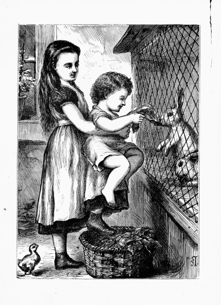 Scan 0004 of My pet book