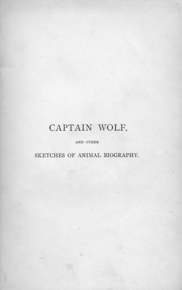 Scan 0005 of Captain Wolf