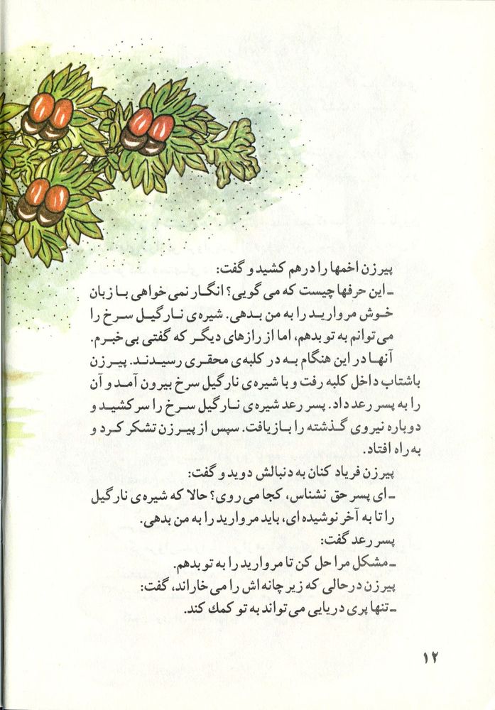 Scan 0016 of پسر رعد