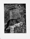 Thumbnail 0051 of Sunny corner