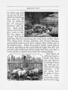 Thumbnail 0054 of Sunny corner
