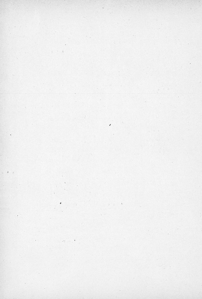 Scan 0038 of Little Marjorie