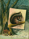 Thumbnail 0015 of Frisky the squirrel