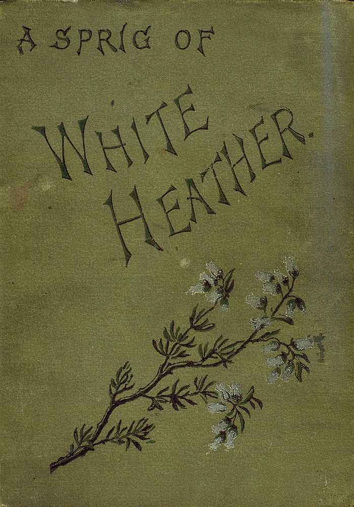 Scan 0001 of Sprig of white heather