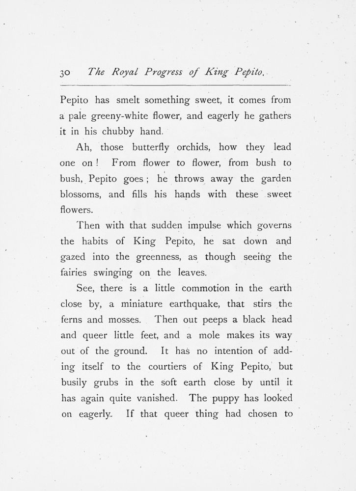 Scan 0030 of Royal progress of King Pepito