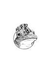 Thumbnail 0008 of Adventures of a Nepali frog