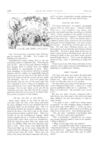 Thumbnail 0062 of St. Nicholas. February 1874