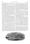 Thumbnail 0030 of St. Nicholas. April 1875