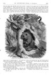 Thumbnail 0036 of St. Nicholas. April 1875