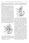 Thumbnail 0059 of St. Nicholas. April 1875